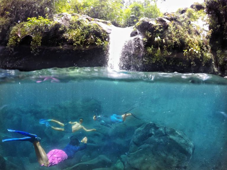 Wisata Air Terjun Curug Kembar Baturraden