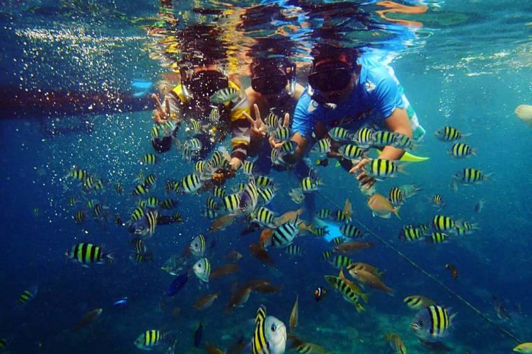 Alasan Wisata Pulau Pahawang Lampung Wajib Kunjung!