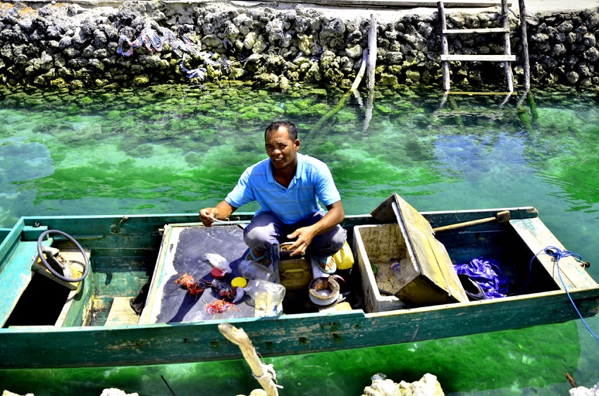 wisata pulau kaledupa di wakatobi national park1567438313 - Keindahan Wisata Pulau Kaledupa Di Wakatobi National Park!