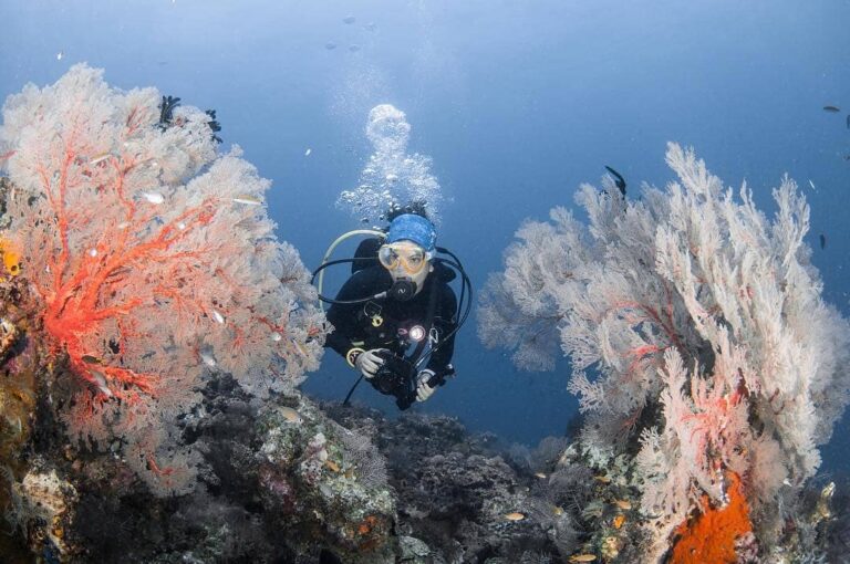 #ExplorePapua Photo today by  Taken at Misool, Raja Ampat...