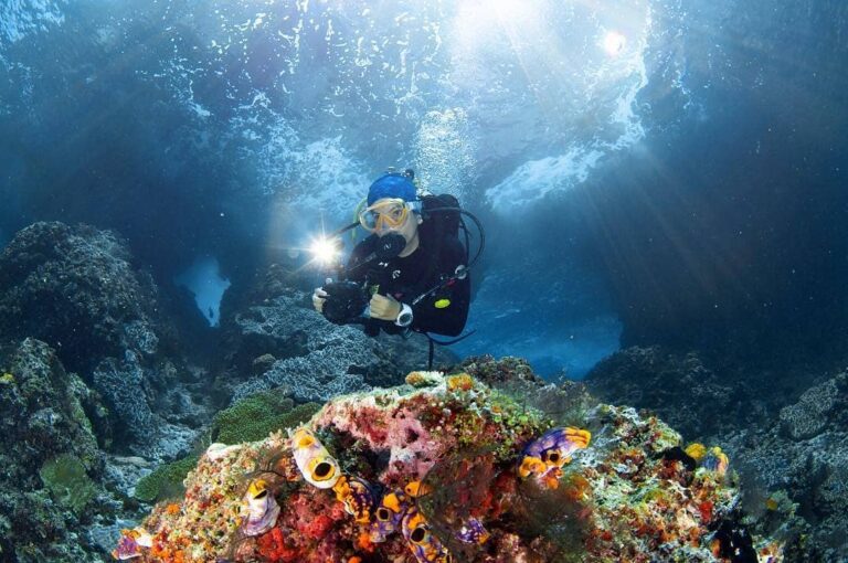 #ExplorePapua Photo today by  Taken at Misool, Raja Ampat...