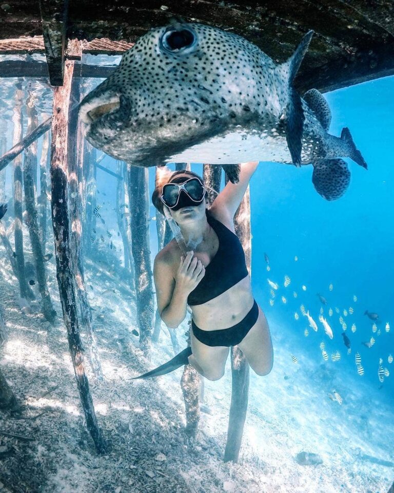 #ExplorePapua Photo today by  Taken at Raja Ampat...