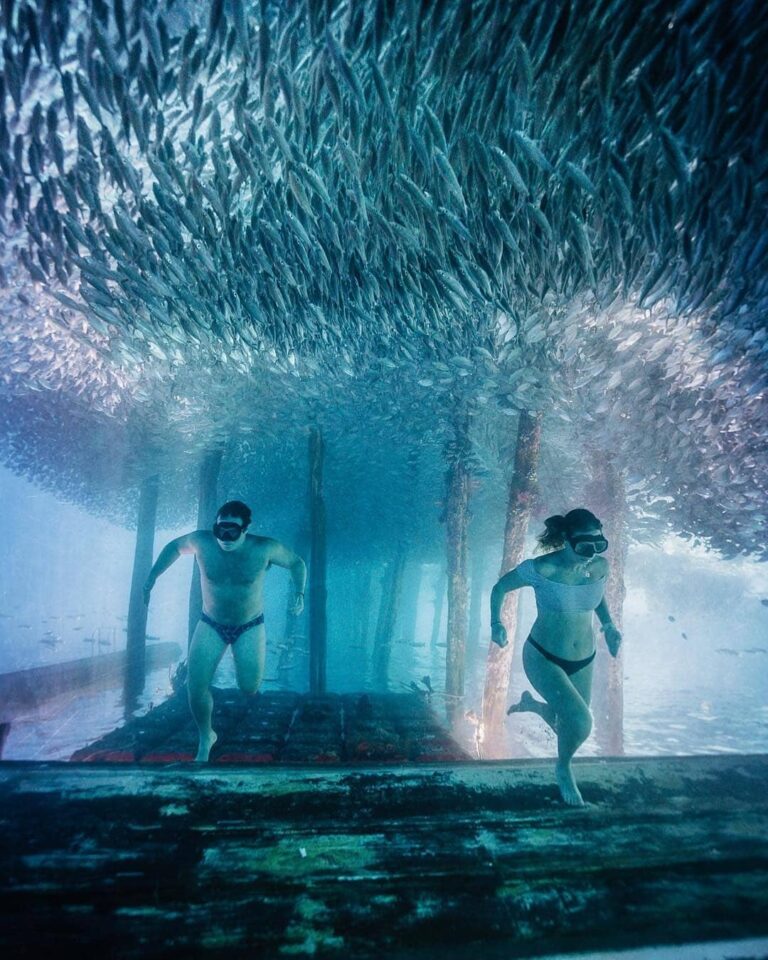 #ExplorePapua Photo Today By  Taken at Raja Ampat...