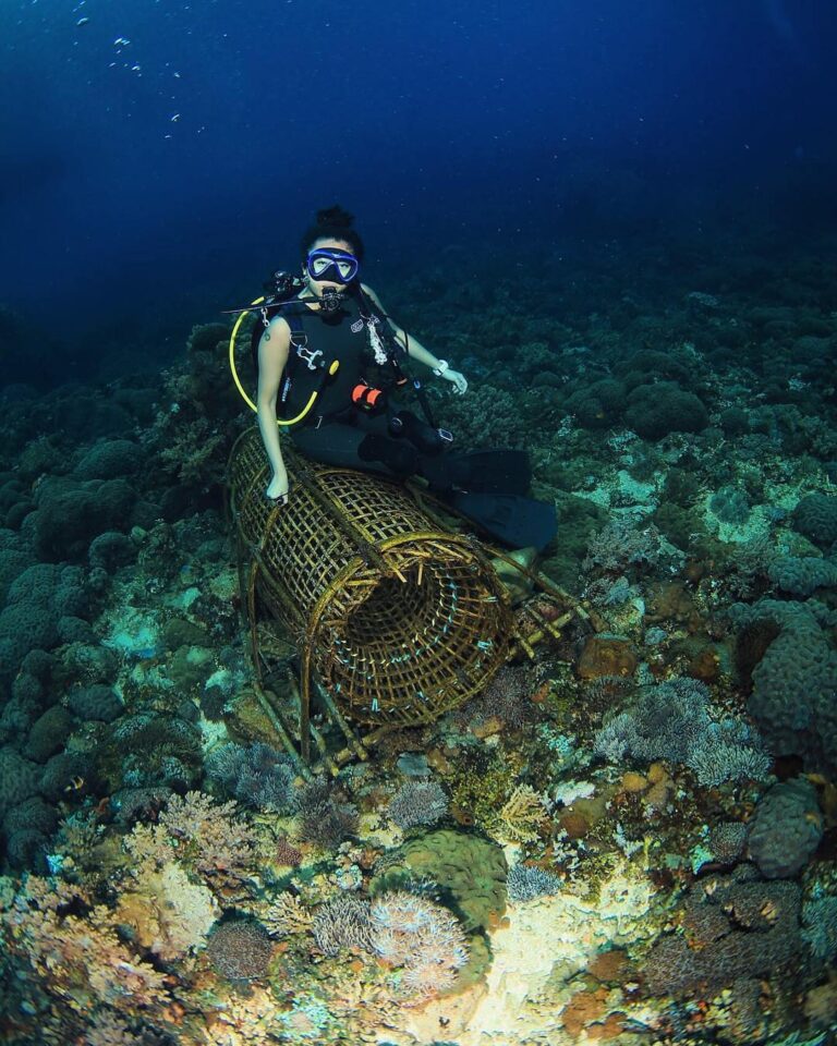 #explorealor Photo today by  Taken around at Alor, Nusa Tenggara Timur
#alor
#pu...