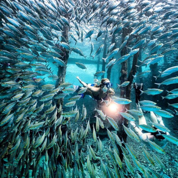 #ExplorePapua Photo today by  Taken at Arborek, Raja Ampat, Papua - Indonesia...
