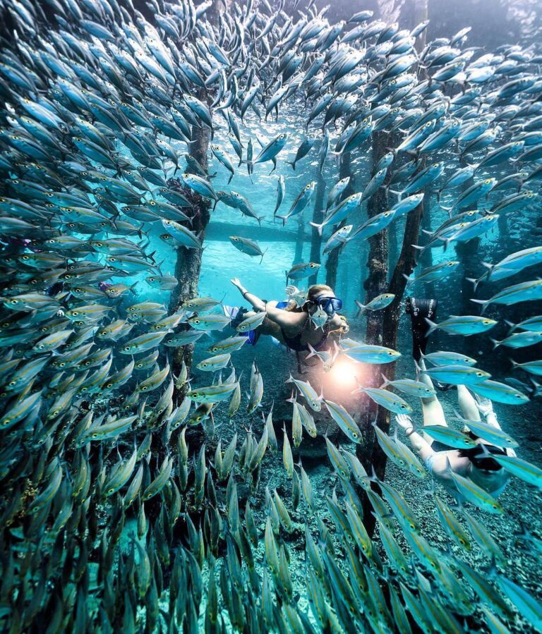 #ExplorePapua Photo today by  Taken at Arborek, Raja Ampat, Papua - Indonesia...