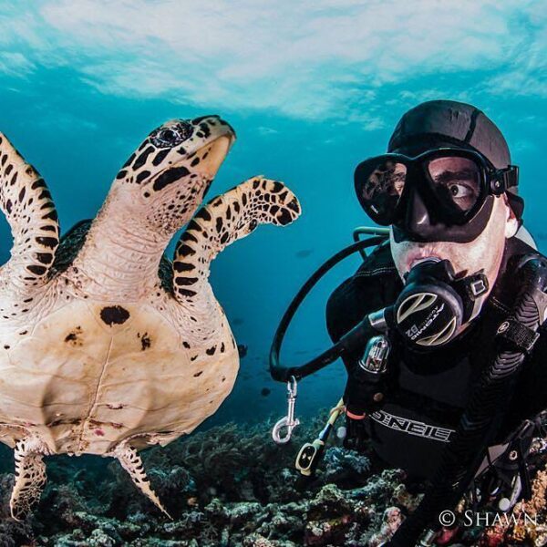#ExplorePapua Photo today by  Taken at Misool Eco Resort, Raja Ampat, Papua - In...