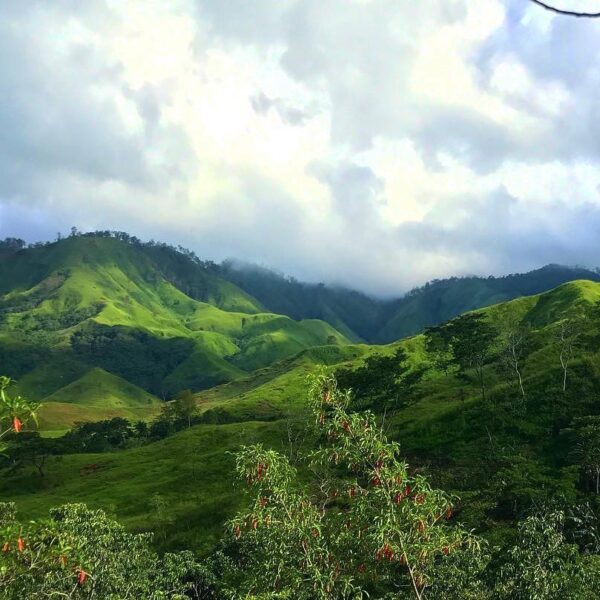 #explorealor Photo today by  Taken Around at Desa Kelasi Barat,  Alor, Nusa Teng...