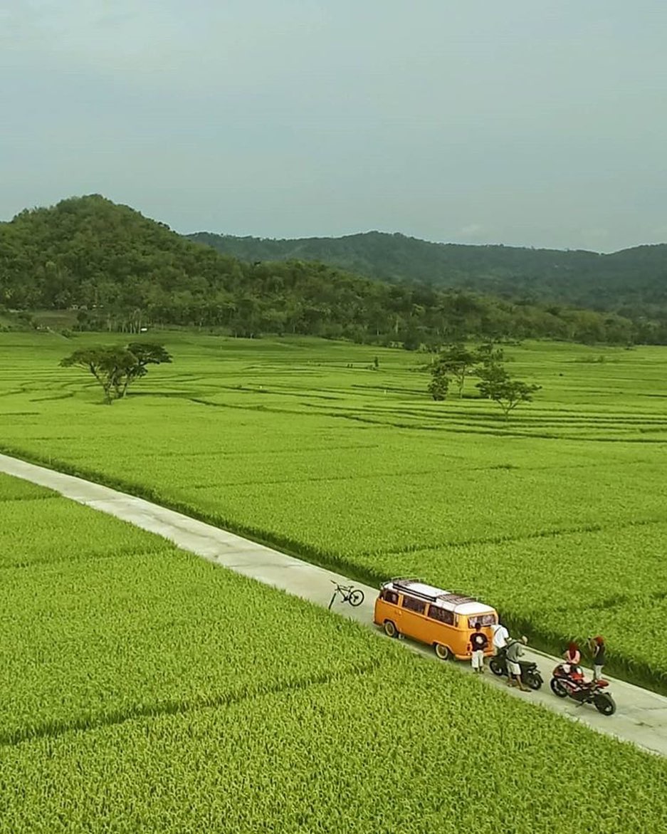 1600938485 521 Jelajah Wisata Jogja Yuk jelajah tempat wisata Jogja ini - Jelajah Wisata Jogja -  Yuk jelajah tempat wisata Jogja ini!! - photo today by  taken around Nanggulan, Kulon Progo....