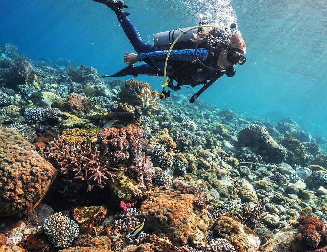 #explorealor Photo today by   Taken around at Alor, Nusa Tenggara Timur
#alor
#p...