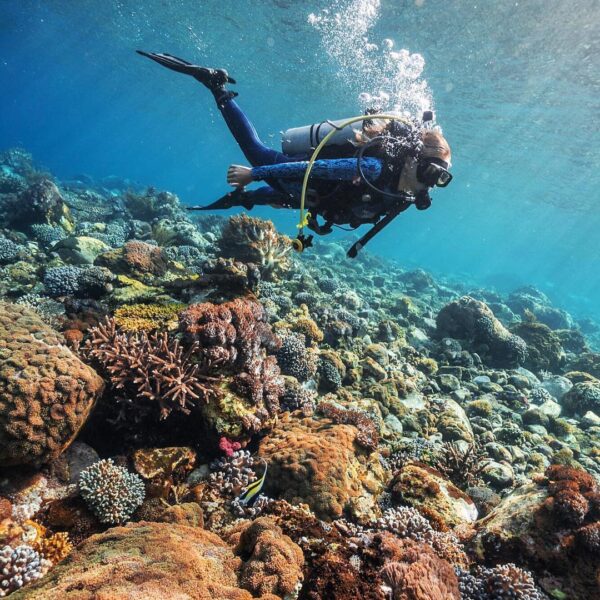 #explorealor Photo today by   Taken around at Alor, Nusa Tenggara Timur
#alor
#p...