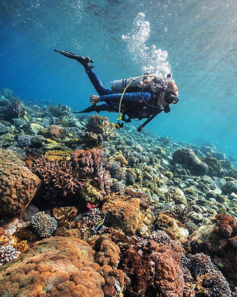 #explorealor Photo today by   Taken around at Alor, Nusa Tenggara Timur
#alor
#p...