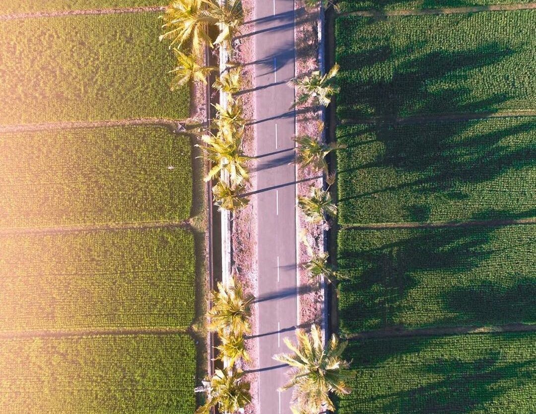 #explorebaubau photo today by  taken at daerah persawahan Ngkari-ngkari....