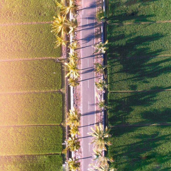 #explorebaubau photo today by  taken at daerah persawahan Ngkari-ngkari....
