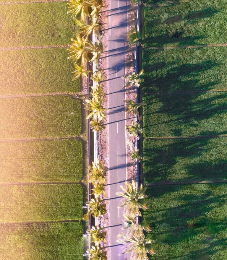#explorebaubau photo today by  taken at daerah persawahan Ngkari-ngkari....