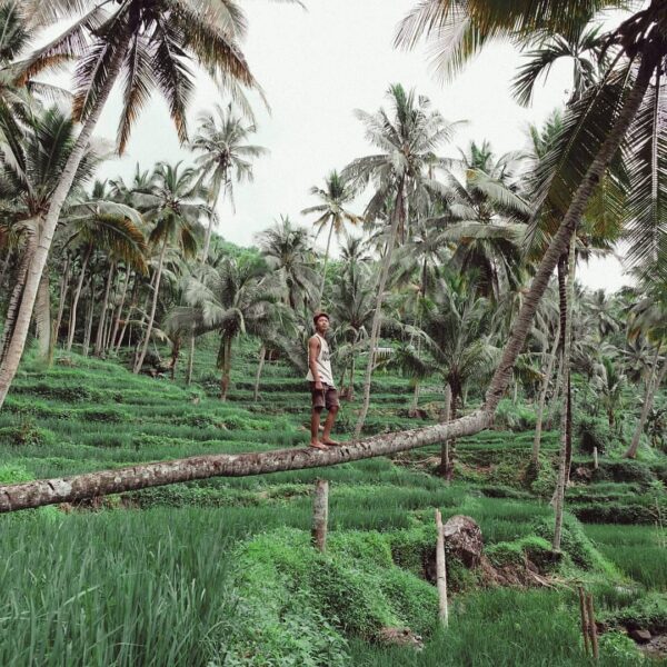 #explorebima Photo today by  taken at Diwu Wau Wawo...