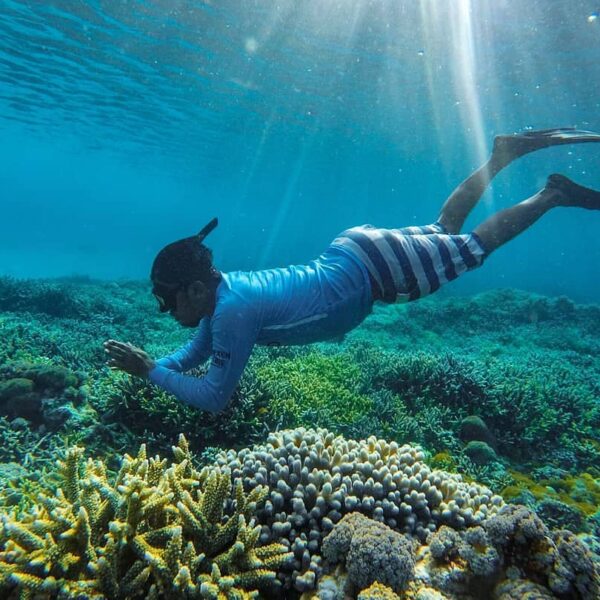 #explorebima Photo today by  taken at Kelapa Island Lambu...