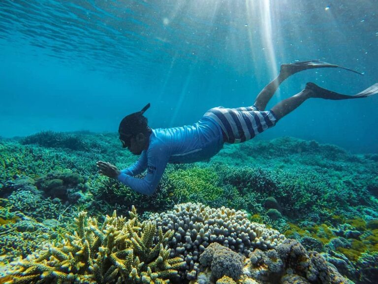 #explorebima Photo today by  taken at Kelapa Island Lambu...