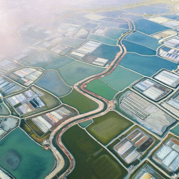 #explorebima Photo today by   taken at Salt Field...