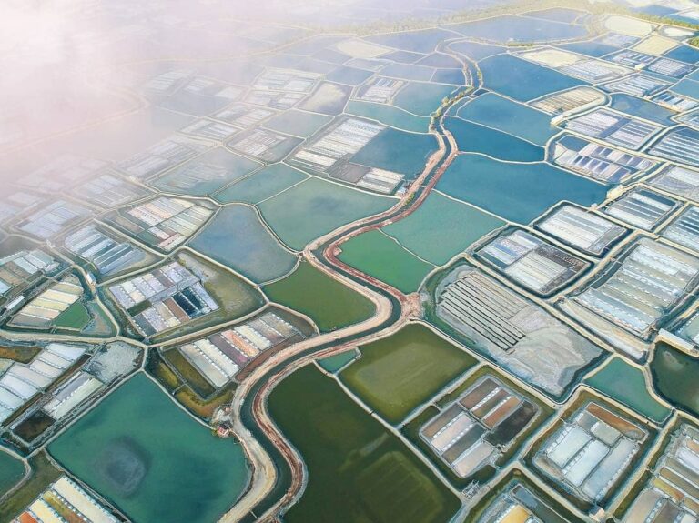 #explorebima Photo today by   taken at Salt Field...