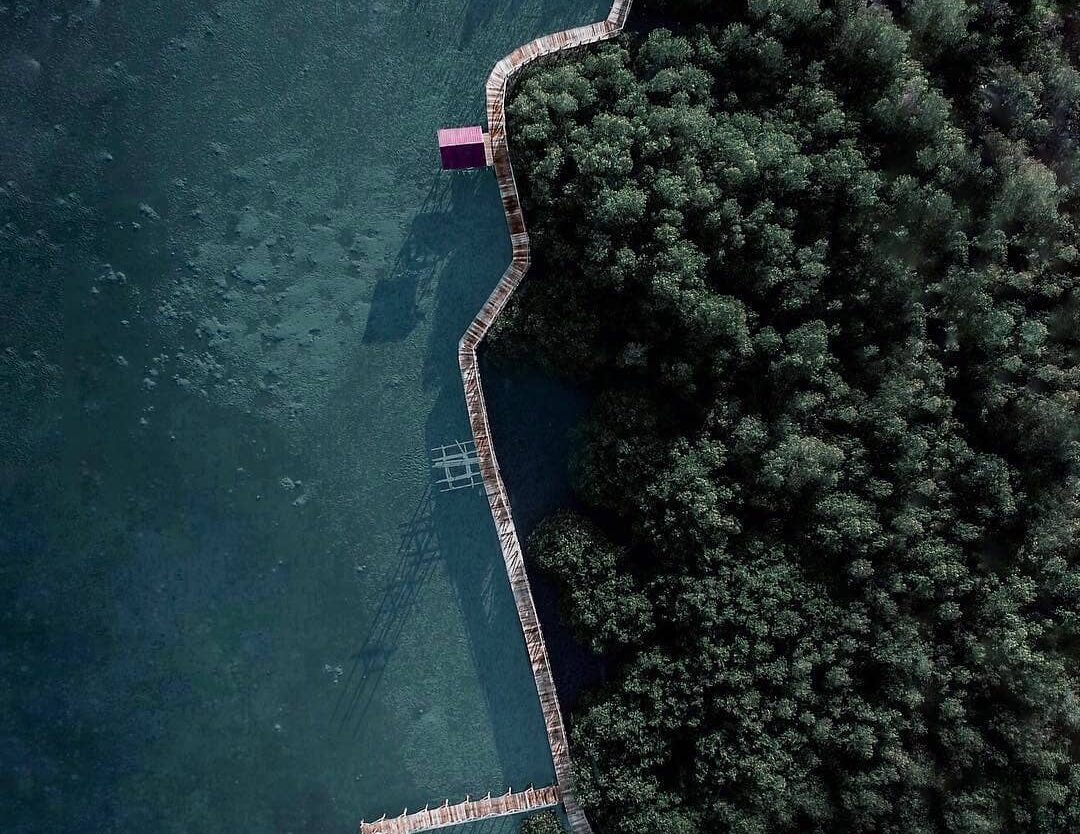 #explorebima Photo today by  taken at Mangrove Forest  Lambu...