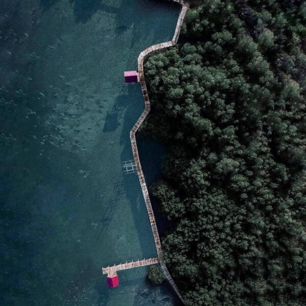 #explorebima Photo today by  taken at Mangrove Forest  Lambu...