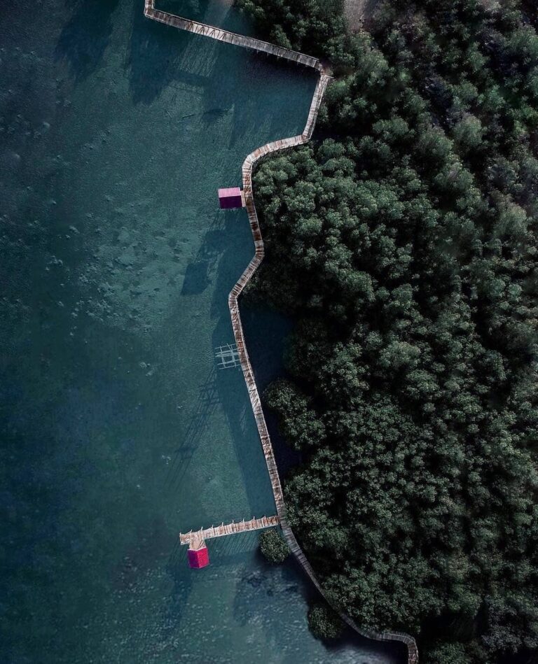 #explorebima Photo today by  taken at Mangrove Forest  Lambu...