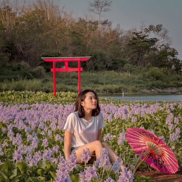 #explorejogja photo today by  taken at Dsn Kalinampu, Pundong, Bantul....