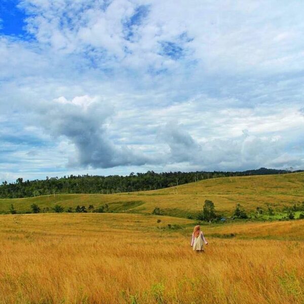 #exploreambon photo today by  taken at Waimeteng, Piru, SBB, Maluku.
#exploreind...