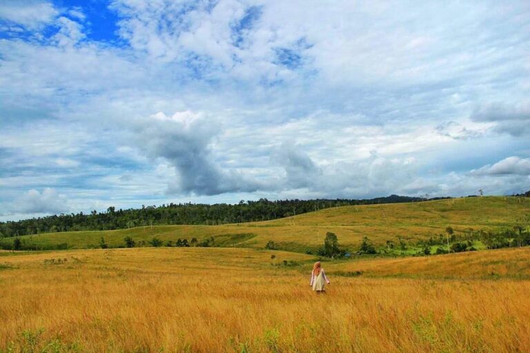 #exploreambon photo today by  taken at Waimeteng, Piru, SBB, Maluku.
#exploreind...