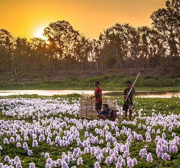 #explorejogja photo today by  at Dsn Kalinampu, Pundong, Bantul....