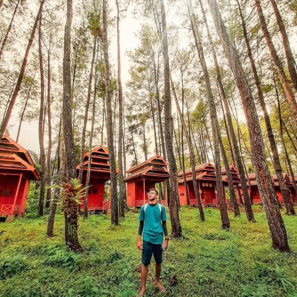 #explorebaubau Photo today by  taken at hutan pinus samparona....