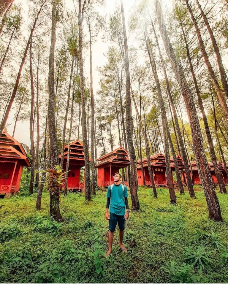 #explorebaubau Photo today by  taken at hutan pinus samparona....