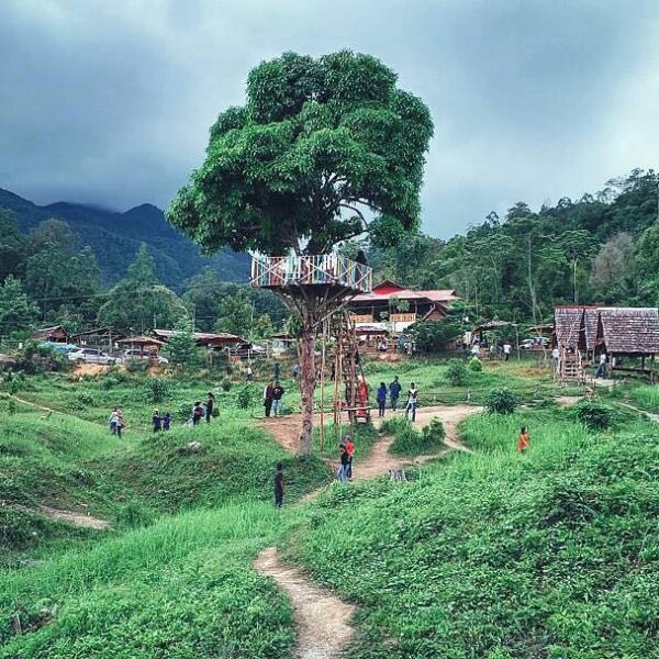 #exploreambon photo today by  taken at Wisata Rumah Pohon, Waai, Ambon, Maluku.
...