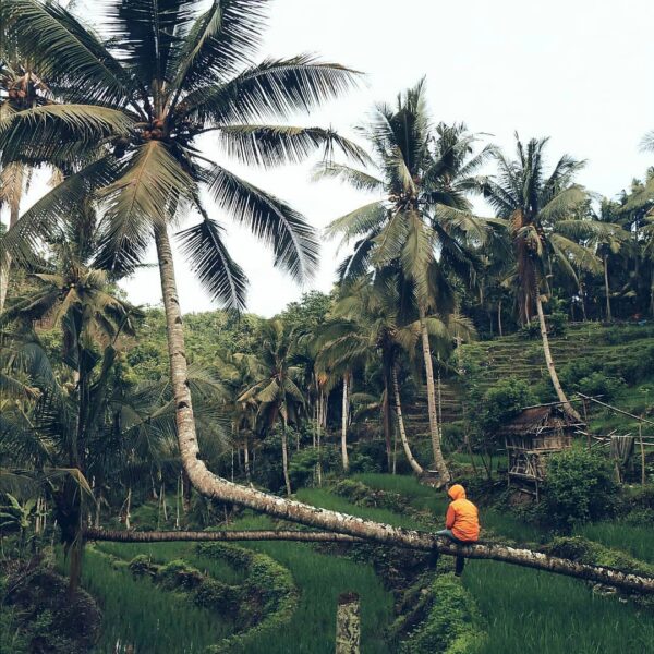 #explorebima Photo today by  taken at Diwu Wau Wawo...