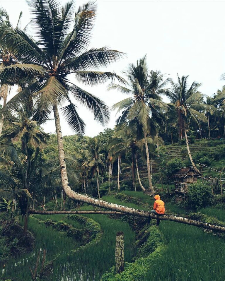 #explorebima Photo today by  taken at Diwu Wau Wawo...