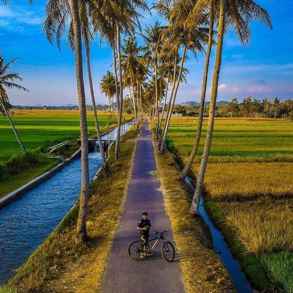 #explorejogja photo today by  taken around Moyudan, Sleman, Yogyakarta....