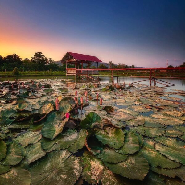 #explorebaubau Photo today by  taken at Desa Liabuku, Kec. Bungi Kota Baubau, Su...