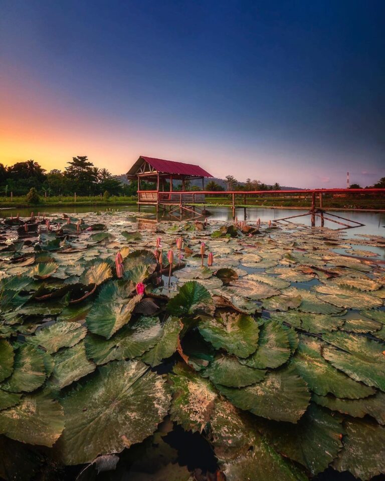 #explorebaubau Photo today by  taken at Desa Liabuku, Kec. Bungi Kota Baubau, Su...
