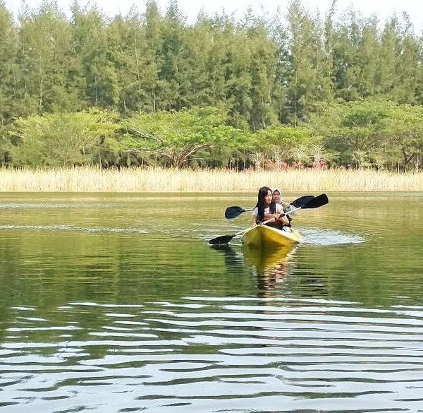 Location : Bangka Botanical Garden, Pangkalpinang, Bangka Island, Kepulauan Bang...