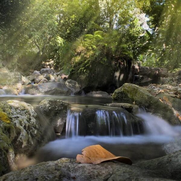 #explorealor Photo today by  Taken Around at Adang, Kokar, Alor, Nusa Tenggara T...