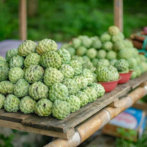 #explorebima_culinary
Photo today by  
Garoso adalah sejenis buah Srikaya termas...