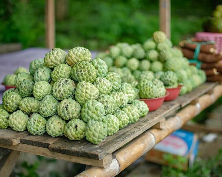 #explorebima_culinary
Photo today by  
Garoso adalah sejenis buah Srikaya termas...