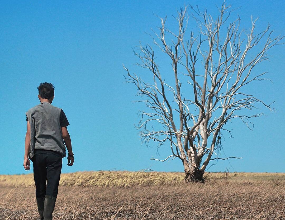 #ExplorePapua Photo Today By  Taken At Hutan Mamgal,  Kampung Tomerau, Merauke, ...