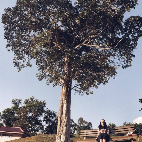 #ExplorePapua Photo Today By  Taken At Mac Artur Jayapura,  Papua,  Indonesia...