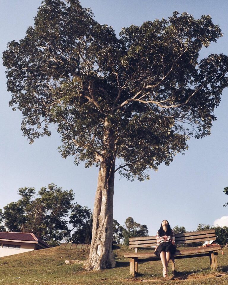 #ExplorePapua Photo Today By  Taken At Mac Artur Jayapura,  Papua,  Indonesia...