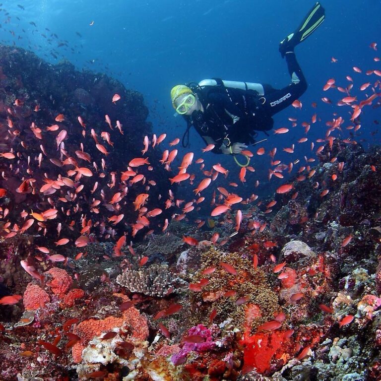 #explorealor Photo today by  Taken around at Alor, Nusa Tenggara Timur
#alor
#pu...