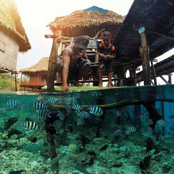 #ExplorePapua Photo Today by  Taken At Desa Wisata Sawinggrai, Raja Ampat...