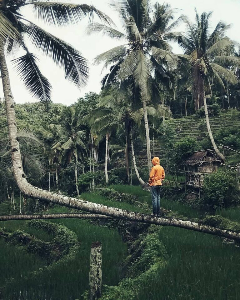 #explorebima Photo today by  taken at Diwuwau Wawo...