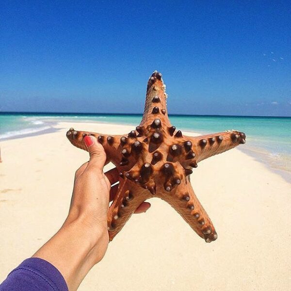 #ExplorePapua Photo today by  taken at Derawan Island...